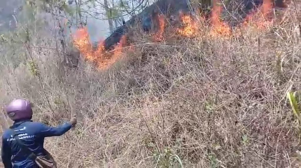 gunung merapi terbakar