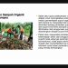 KKN Gotong Royong Unimma : Urban Farming Untuk Berdayakan Para Ibu Rumah Tangga