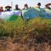 Harga Cabai Turun, Lazismu dan Aisyiyah Borong 1 Ton Cabai Dari Petani