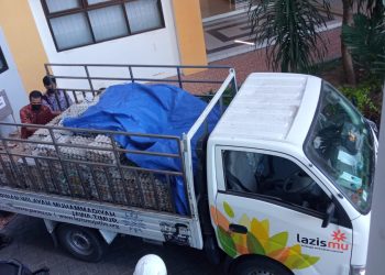 Prihatin Kondisi Peternak, Lazismu Borong 2,5 Ton Telur