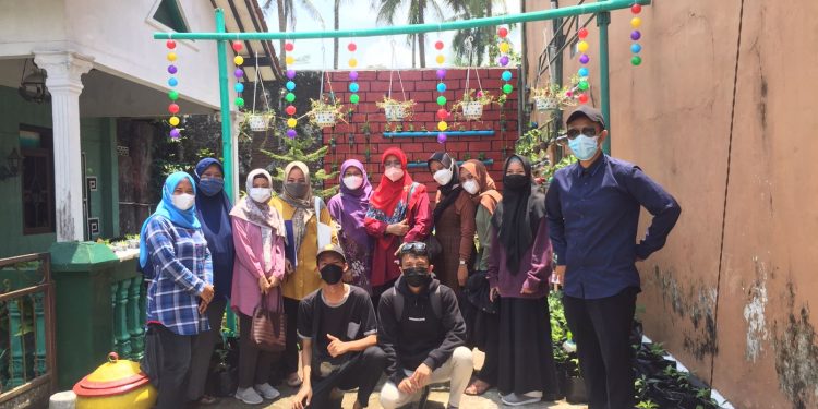 KKN Unimma Fokus Urban Farming Untuk Ketahanan Pangan