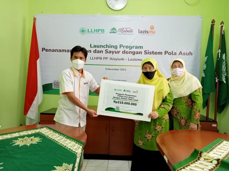 Lazismu Gandeng LLHB Aisyiyah Luncurkan Gerakan Penanaman Pohon dan Sayur Sistem Pola Asuh