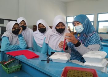 SMK Muhamamdiyah 2 Mertoyudan Latih Siswa SMP Pertanian Hidroponik