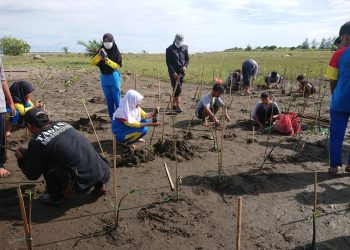 Cegah Abrasi Pantai Bersama Lazismu dan IPM
