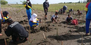 Cegah Abrasi Pantai Bersama Lazismu dan IPM