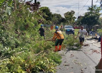 MDMC Kabupaten Magelang Lakukan Penanganan Bencana Angin Kencang yang Menimpa Puluhan Rumah
