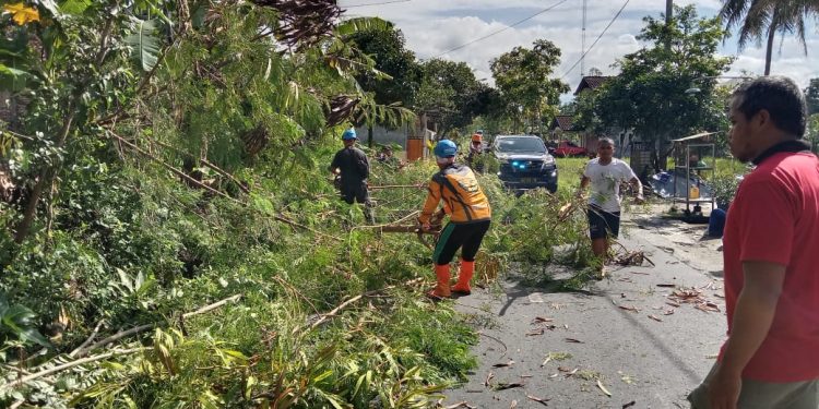 MDMC Kabupaten Magelang Lakukan Penanganan Bencana Angin Kencang yang Menimpa Puluhan Rumah