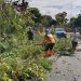 MDMC Kabupaten Magelang Lakukan Penanganan Bencana Angin Kencang yang Menimpa Puluhan Rumah
