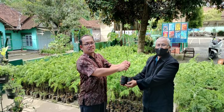 Muhammadiyah Magelang Terima 10.000 Bibit Sengon