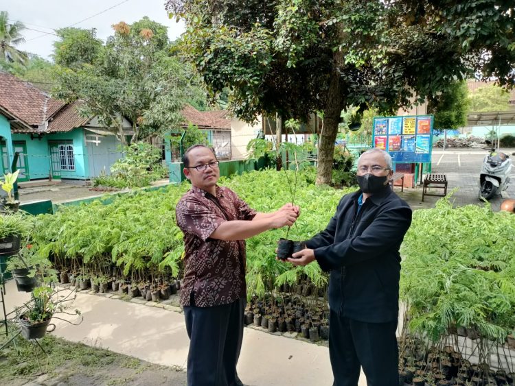Muhammadiyah Magelang Terima 10.000 Bibit Sengon
