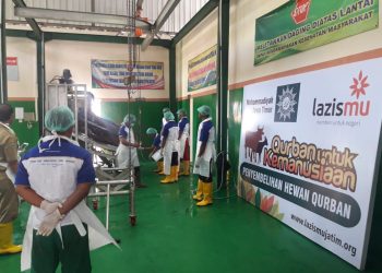 Qurban Melalui Lazismu, Tak Perlu Khawatir PMK