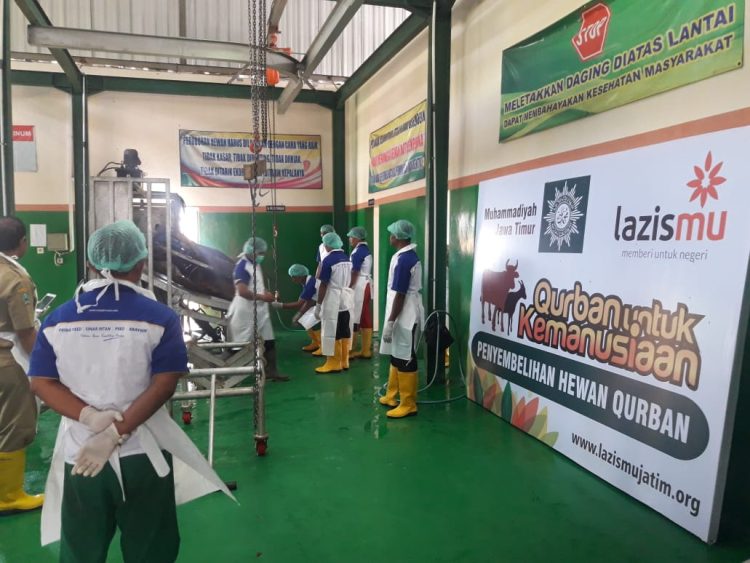 Qurban Melalui Lazismu, Tak Perlu Khawatir PMK