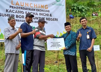 Lazismu Berdayakan Kacang Sacha Inchi Untuk Lahan Wakaf
