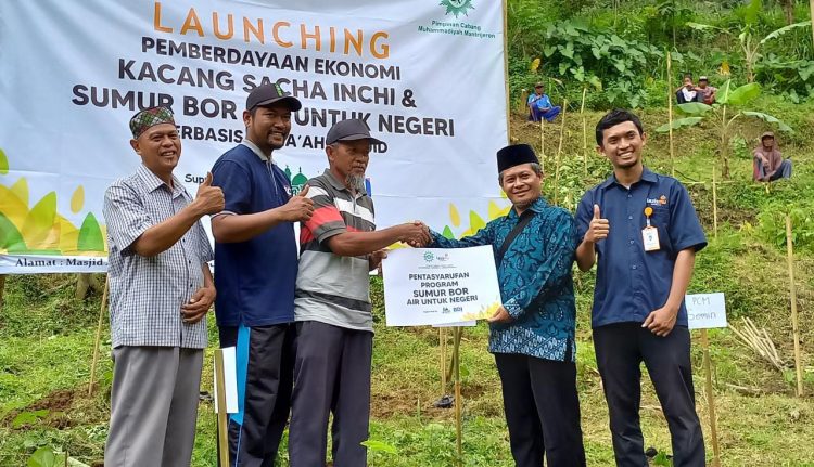 Lazismu Berdayakan Kacang Sacha Inchi Untuk Lahan Wakaf