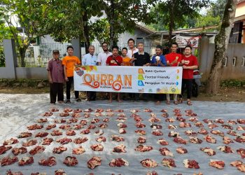 Lazismu Pekalongan Salurkan Sapi di Podosari Kesesi