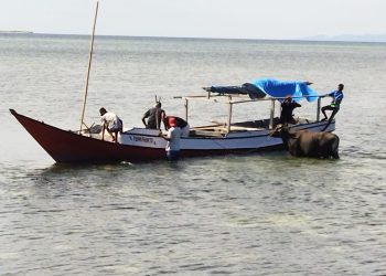Tempuh Jalur Laut, Lazismu Distribusikan Hewan Qurban