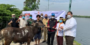 Qurban Lazismu dan PT Mirae Asset
