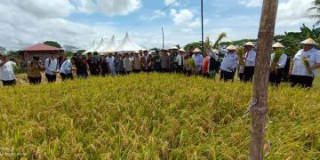 Panen Raya Lazismu Bangkitkan Pemberdayaan Petani