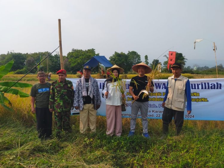 Hadiri Panen Raya dan Penyerahan Tanah Wakaf di Muhammadiyah, Bacawabup Amin Sumbang 5 juta