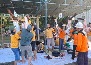 PRM Gunungpring Muntilan Sembelih 77 Hewan Kurban di Idul Adha 1446 H