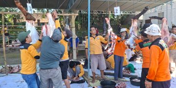 PRM Gunungpring Muntilan Sembelih 77 Hewan Kurban di Idul Adha 1446 H