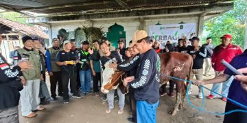 BikersMU Korwil DIY Bersama Mualaf Center Muhammadiyah dan LDK Salurkan Hewan Qurban di Kampung Mualaf Gunungkidul dan Kulonprogo