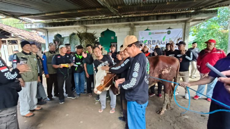 BikersMU Korwil DIY Bersama Mualaf Center Muhammadiyah dan LDK Salurkan Hewan Qurban di Kampung Mualaf Gunungkidul dan Kulonprogo