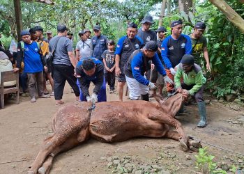 PRM Gunungpring Ajak Warga Pegunungan Rayakan Idul Adha Dengan Tebar Kurban