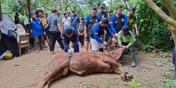 PRM Gunungpring Ajak Warga Pegunungan Rayakan Idul Adha Dengan Tebar Kurban