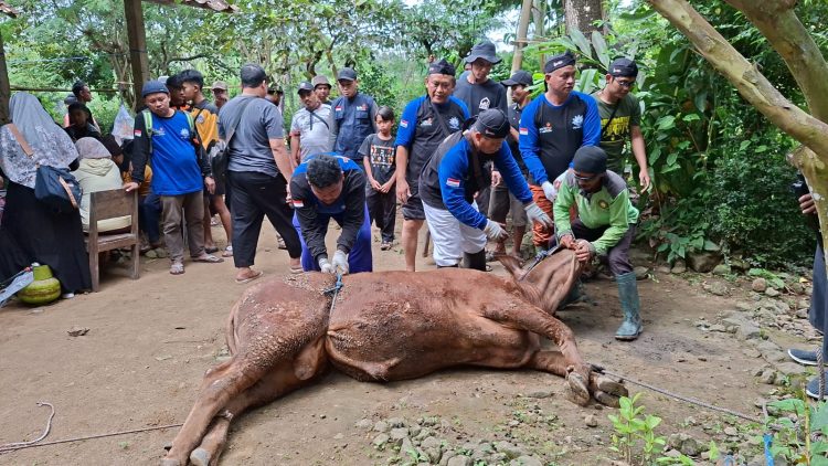 PRM Gunungpring Ajak Warga Pegunungan Rayakan Idul Adha Dengan Tebar Kurban