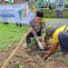 PRM Pucungrejo Peringati Milad Ke-113 Muhammadiyah dengan Aksi Tanam Ratusan Pohon Tabebuya