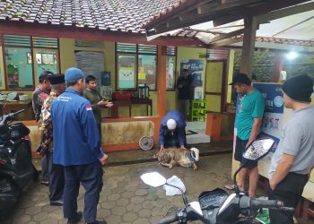 Pemuda Muhammadiyah Kajoran Selenggarakan Pelatihan Juru Sembelih Halal