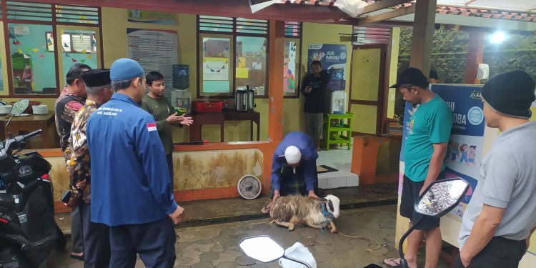 Pemuda Muhammadiyah Kajoran Selenggarakan Pelatihan Juru Sembelih Halal