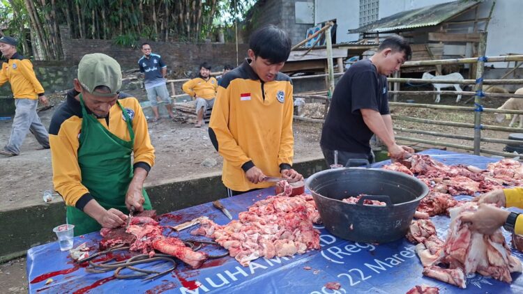 Kurban Mandiri di Sabrang Gunungpring, Jamaah Masjid Nurussalam Andalkan Jagal Internal