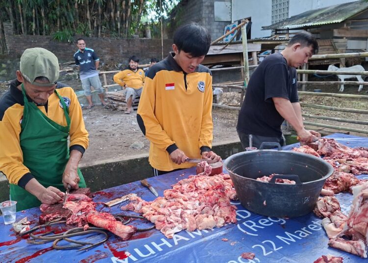 Kurban Mandiri di Sabrang Gunungpring, Jamaah Masjid Nurussalam Andalkan Jagal Internal