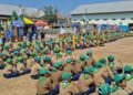 580 Pandu Athfal Meriahkan Jambore Ceria 2 di Borobudur